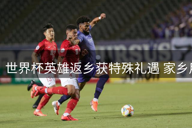 世界杯英雄返乡获特殊礼遇 家乡用番茄盛宴致敬加维法比安
