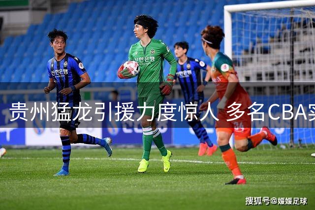 贵州猛龙引援力度惊人 多名CBA实力派加盟组建豪华阵容