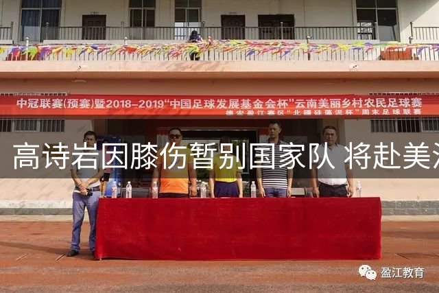 高诗岩因膝伤暂别国家队 将赴美治疗 长期疲劳作战埋隐患